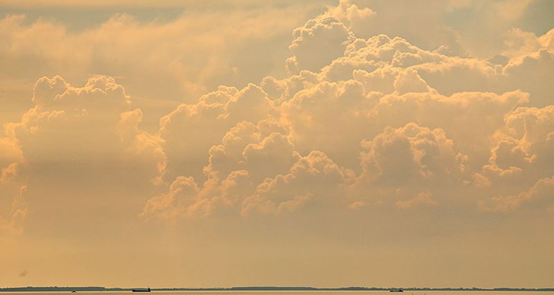 www_mg_5403.jpg
